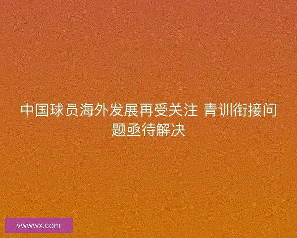 中国球员海外发展再受关注 青训衔接问题亟待解决